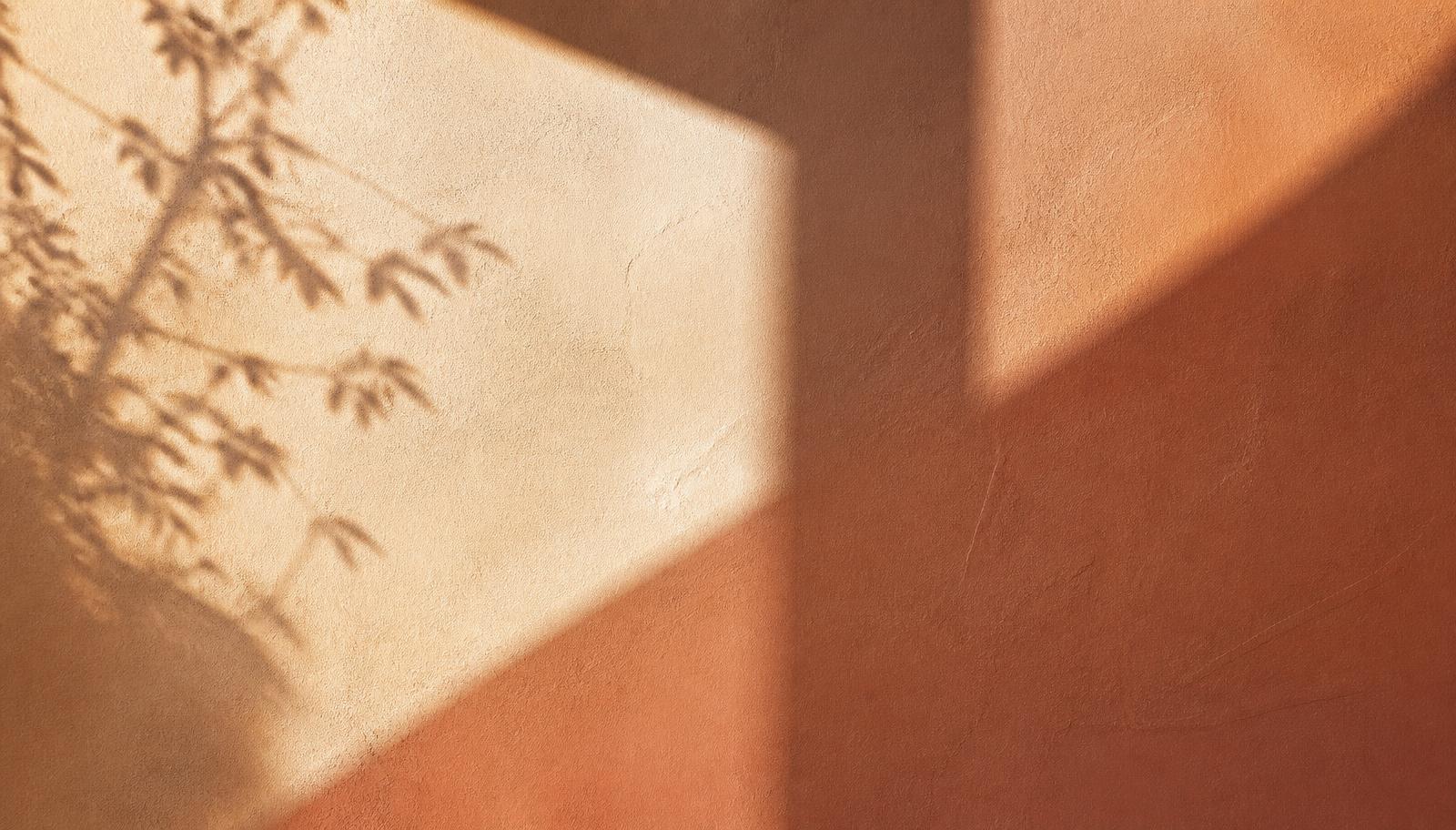 Warm morning light and leaf shadows across a terracotta plaster wall